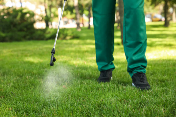 Best Exterminator Services  in Fort Morgan, CO